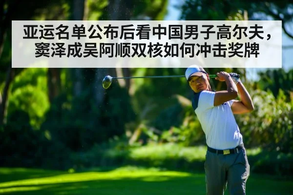 professional golf swing action